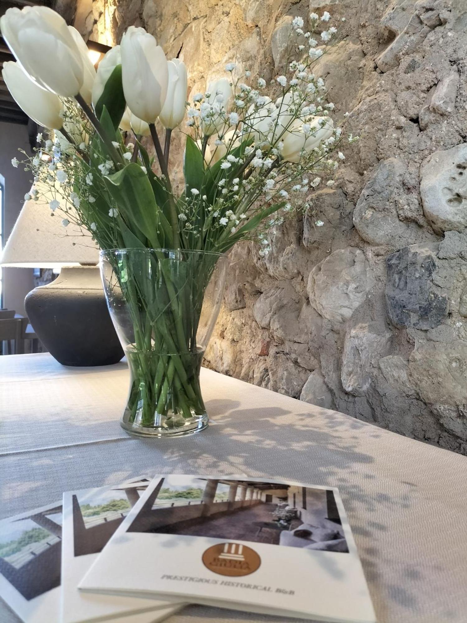 Badia Giulia Prestigious Historical B&B, Camaiore - Adults Only - No Pets Bagian luar foto
