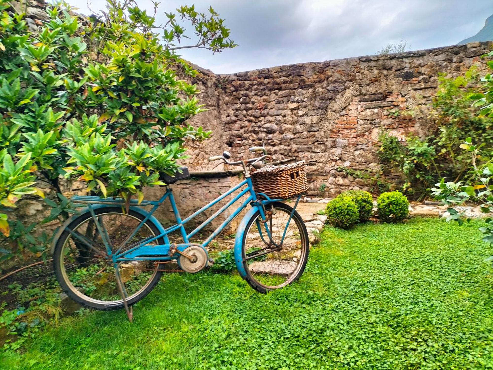 Badia Giulia Prestigious Historical B&B, Camaiore - Adults Only - No Pets Bagian luar foto