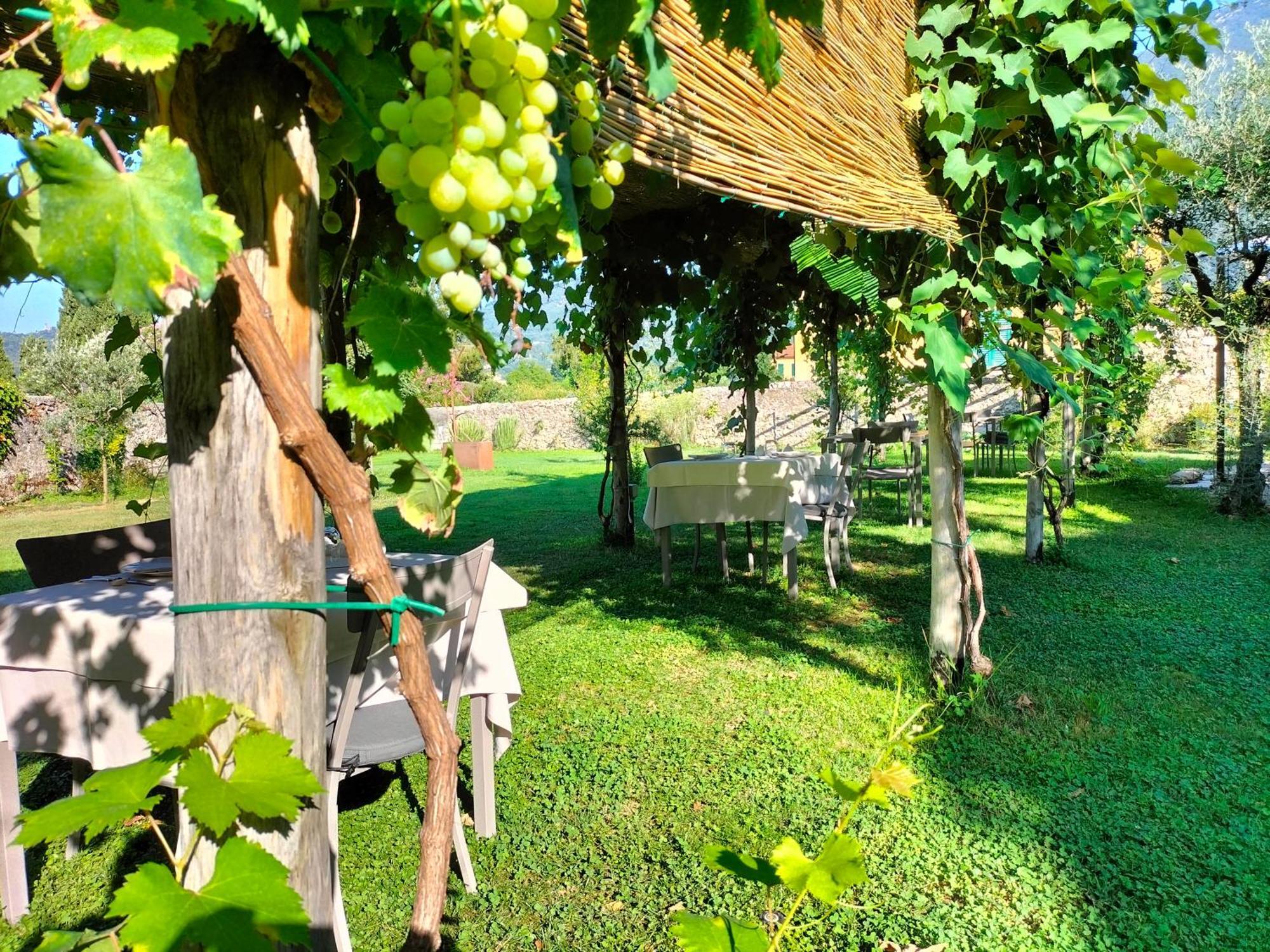 Badia Giulia Prestigious Historical B&B, Camaiore - Adults Only - No Pets Bagian luar foto